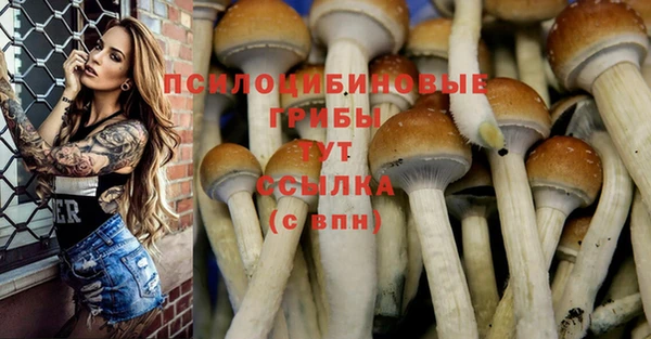 MDMA Алзамай